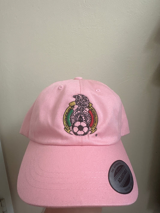 MX PINK WC CAP